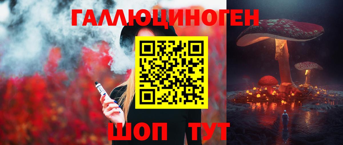 Галлюциногенные грибы прущие грибы  цена   Камышин  Вход с VPN  Псилоцибиновые грибы Cubensis 