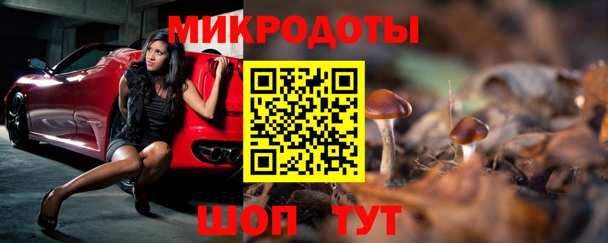 Псилоцибиновые грибы Psilocybine cubensis Камышин